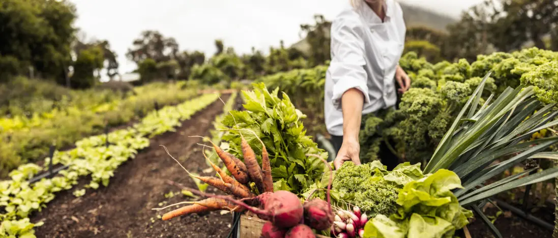 Homesteading–Not As Hard As It Seems