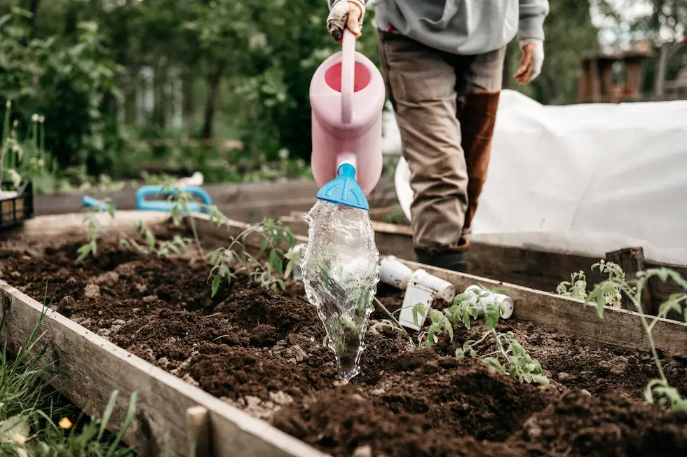 Growing Your Food: Start a Small Garden