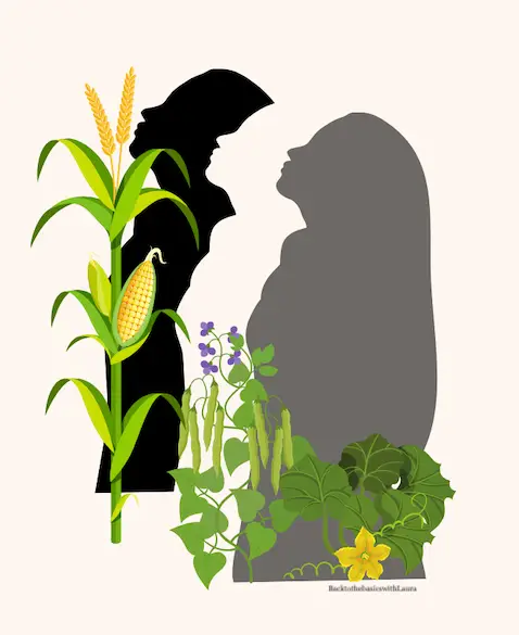 Companion Planting: A Garden Partnership